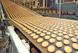 食品機械常用哪些軸承？食品機械用軸承簡介